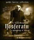 Nosferatu eine Symphonie des Grauens