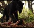 The Jungle Book (Official Trailer)