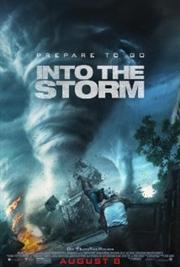 Into the Storm / Навстречу шторму