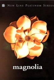 Magnolia / Магнолия