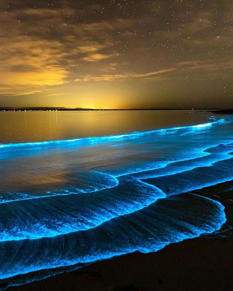 Биолюминесцентные водоросли, Джервис-Бей, Австралия