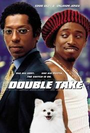 Double Take / Двойные неприятности