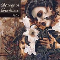 Beauty In Darkness vol. 3