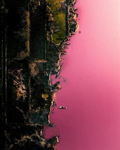 «Розовое озеро» в Мерсии, Испания