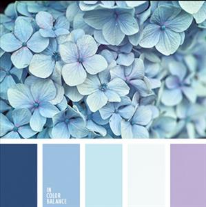 Цветовая палитра белый и голубой