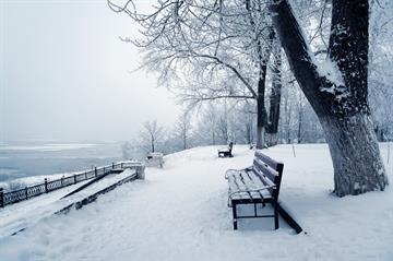 Зимний заснеженный парк