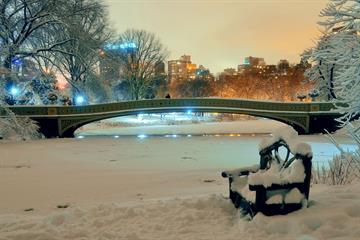 Центральный парк Нью-Йорка пруд зимой