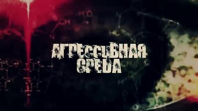 1. Технозависимость. Фильм 1 | Агрессивная среда с Александрой Говорченко