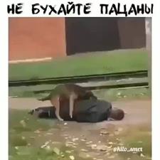 Не бухайте пацаны