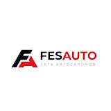 Новости / FESAUTO