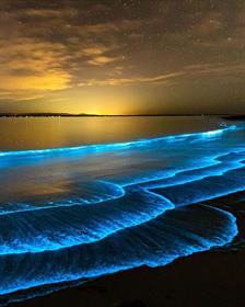 Биолюминесцентные водоросли, Джервис-Бей, Австралия
