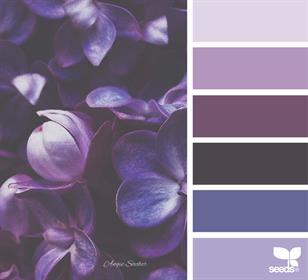 Цветовая палитра фиолетовый