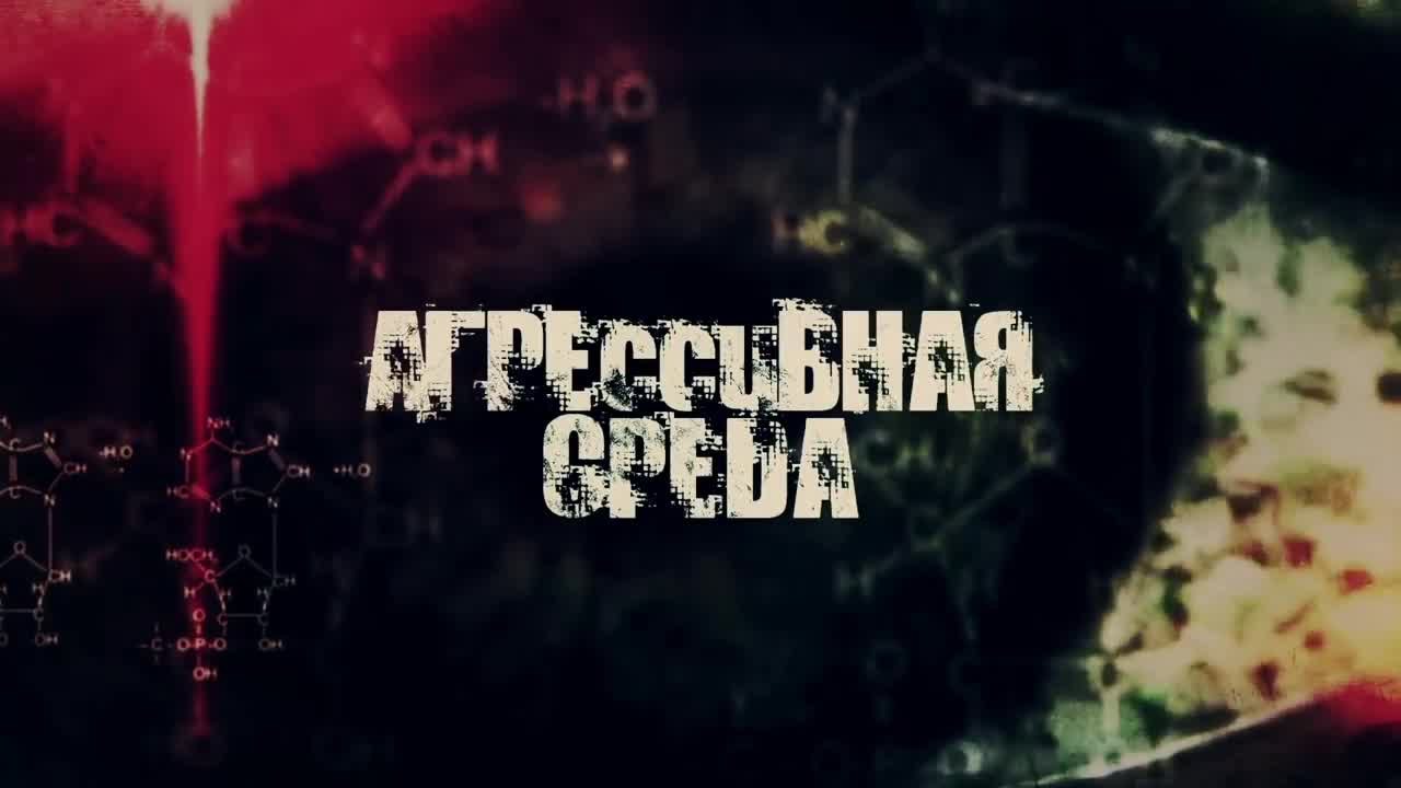 Жестокий спорт | Агрессивная среда с Александрой Говорченко