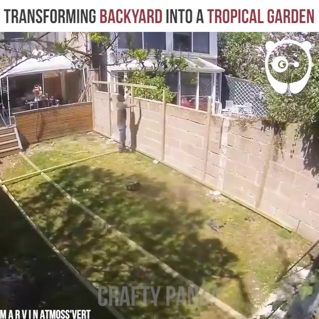 Transforming backyard into a tropical garden