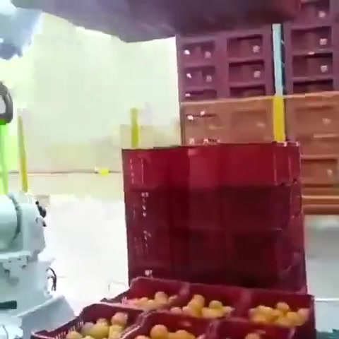 Как разгружают апельсины