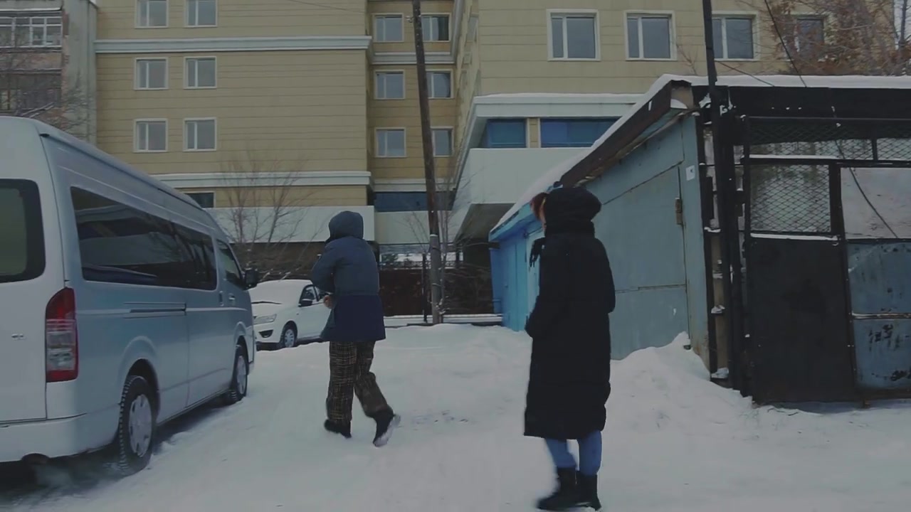 Звери