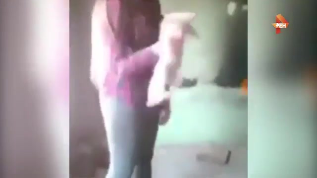Девочки-подростки транслировали в Сети зверское убийство котенка