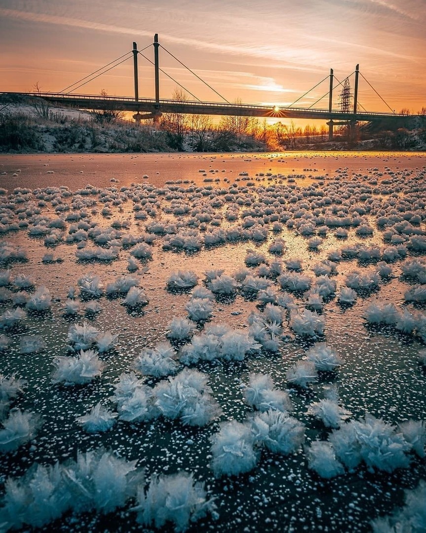 Ледяные цветы на Тезе в Шуе, Ивановская область, Россия