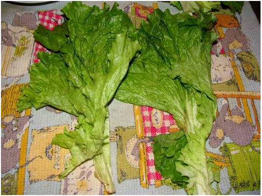 Классический салат «Цезарь» с креветками